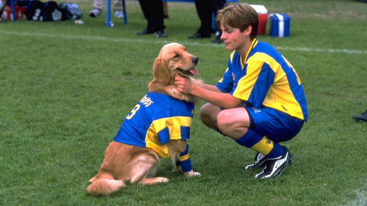 Air Bud World Pup 2000 Directed By Bill Bannerman Reviews Film
